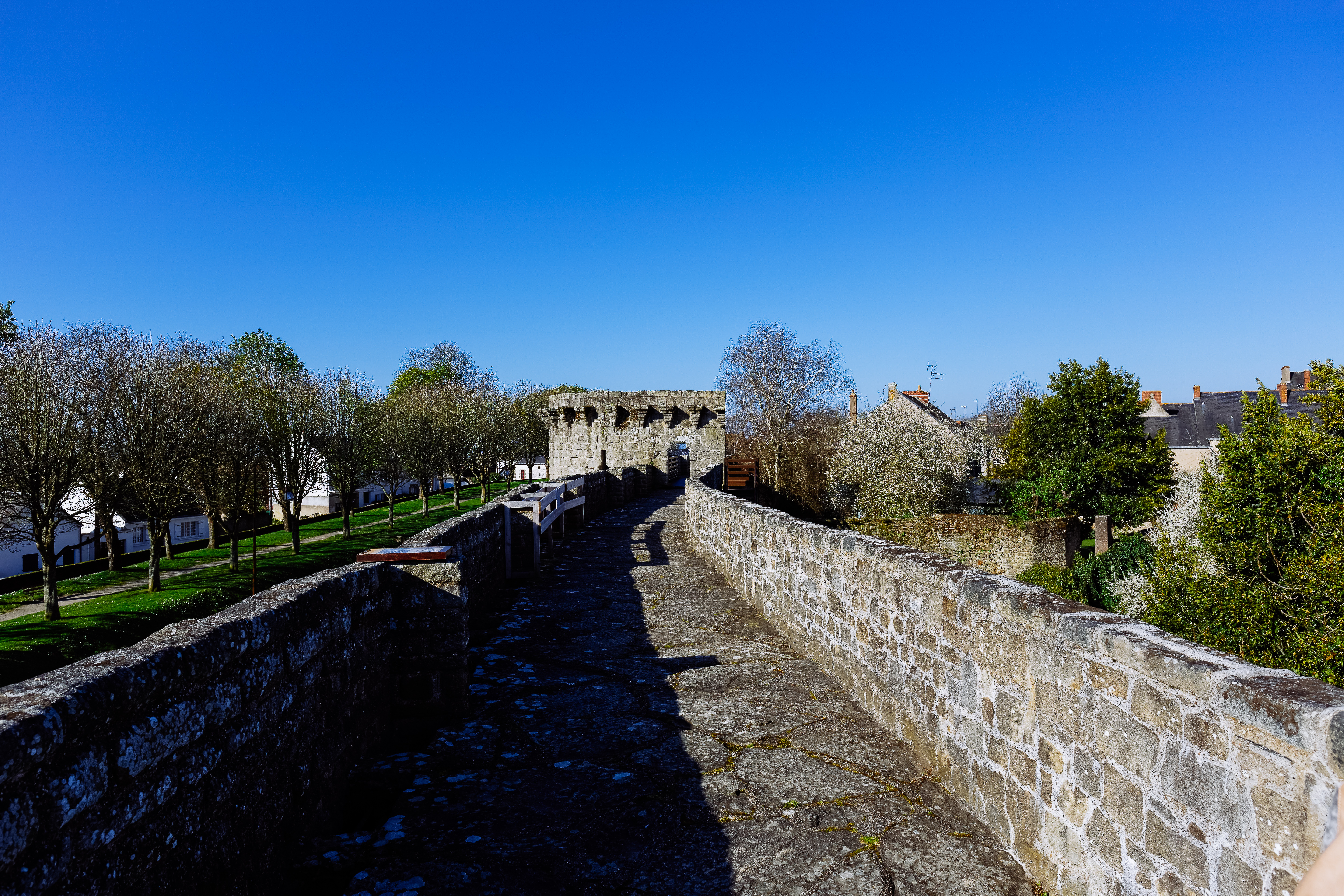 Photo plein écran