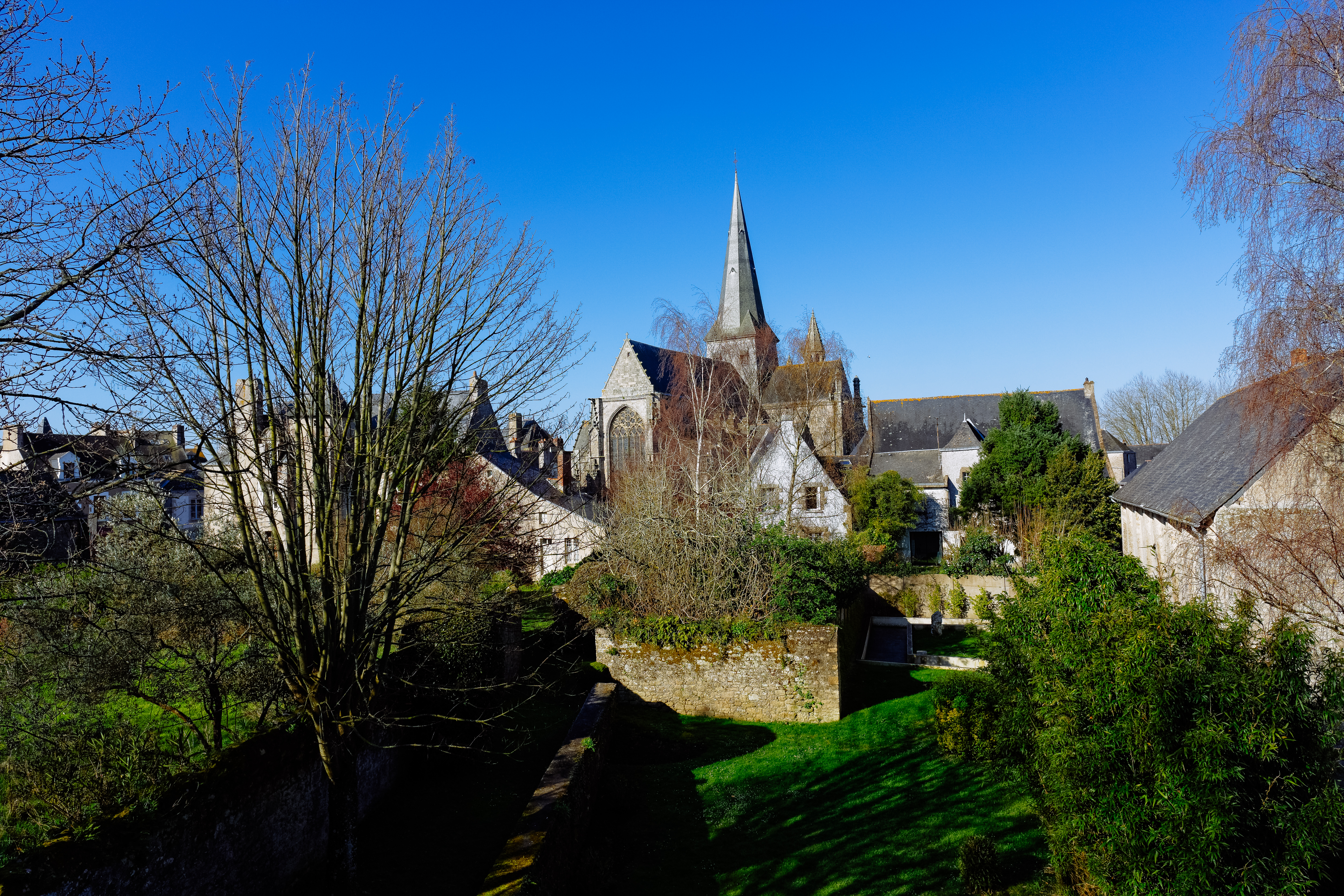 Photo plein écran