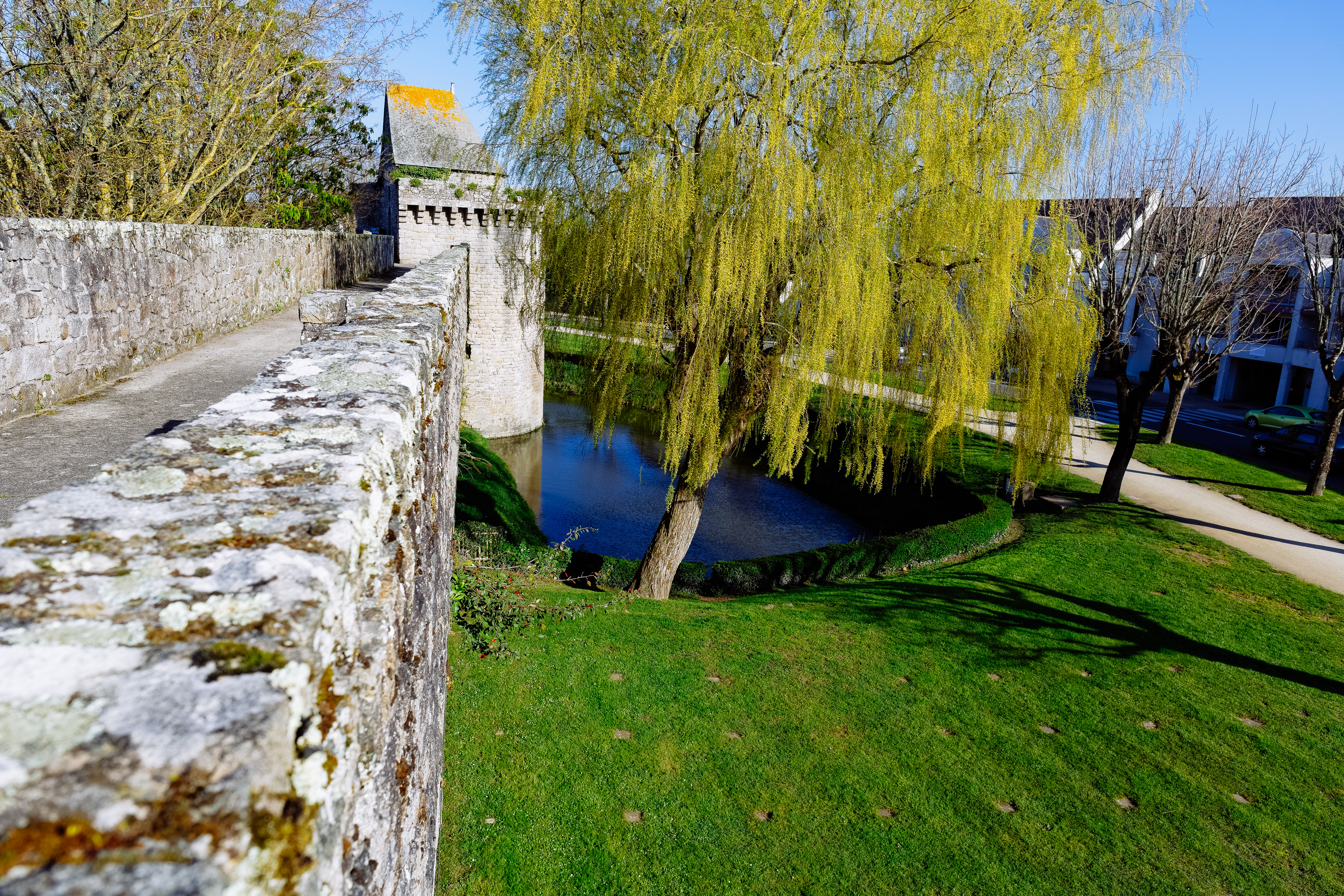 Photo plein écran