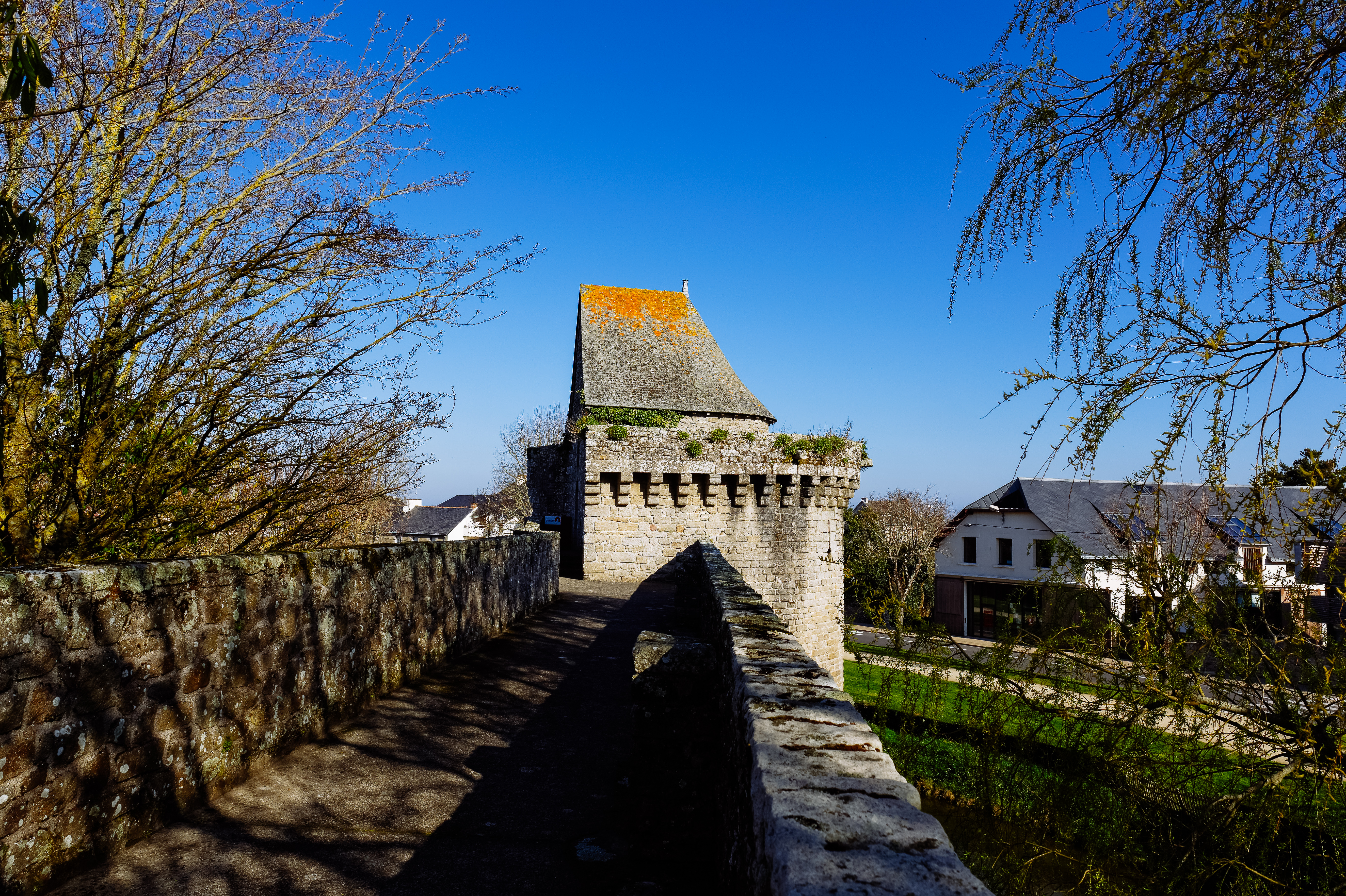 Photo plein écran